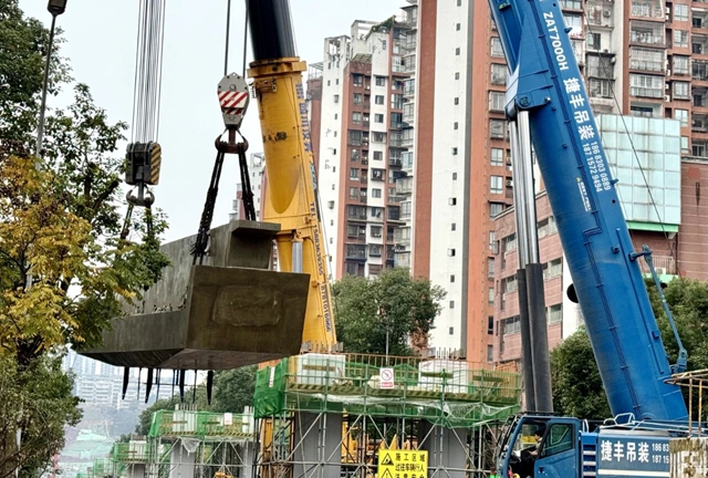 龙1.jpg