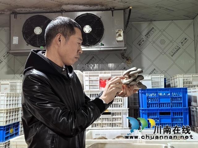 泸县返乡创业指导员李云川：用小蘑菇带动乡邻增收致富