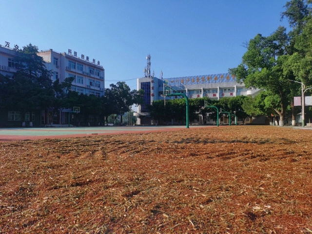 这杯酒,酿了42年!泸县建校,如何种出乡村振兴的“青春味道”?(图3) 3.jpg