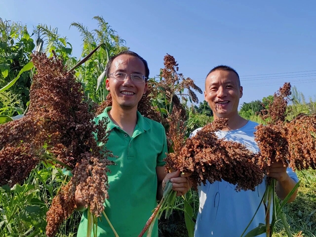 这杯酒,酿了42年!泸县建校,如何种出乡村振兴的“青春味道”?(图1) 1.jpg