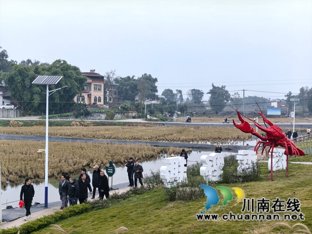 参观稻虾基地（曾佐然摄）.jpg