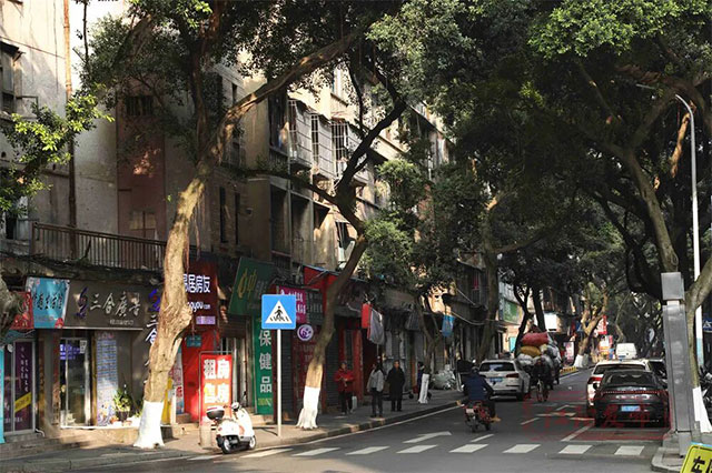 泸州新马路：一条街的烟火与新生