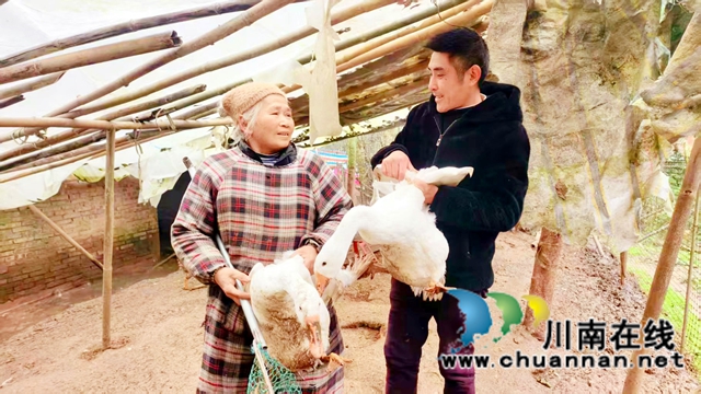 图2：肖云松（右）向养殖户了解大白鹅养殖.jpg