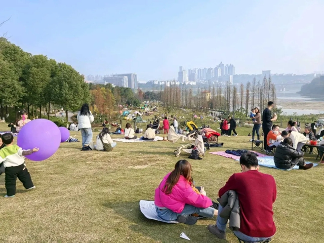 阳2.jpg