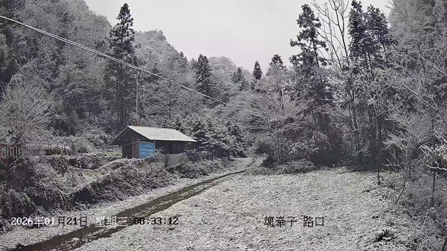 8.jpg