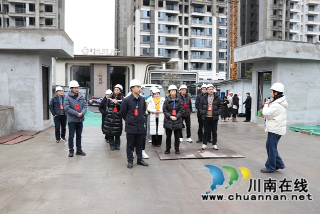 龙马潭区鱼塘街道组织“两代表一委员”集中视察活动