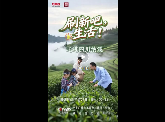 今晚央视见！看纳溪特早茶如何“刷新”你的生活