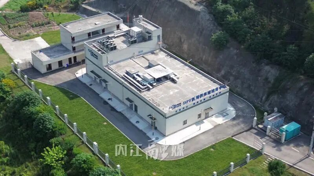 国际首例！内江造“基因编辑猪肝”成功辅助治疗肝衰竭患者