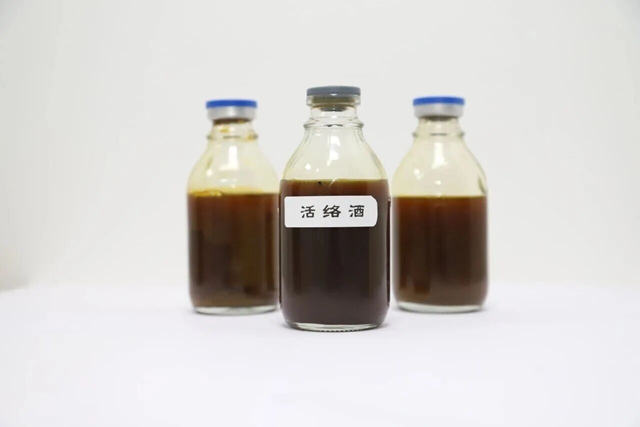 院１６.jpg