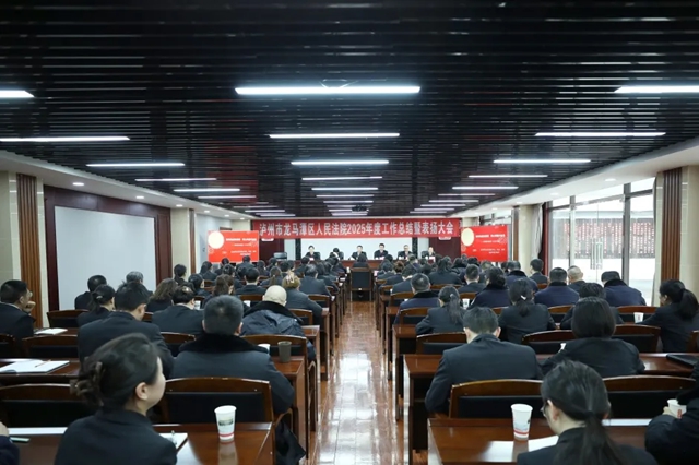 善作善成创佳绩 同心同德开新局｜龙马潭区法院召开2025年度工作总结暨表扬大会