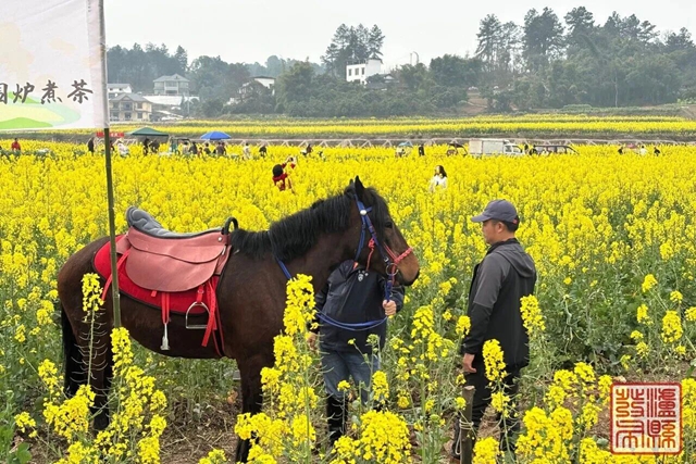 官宣!泸县喻寺and海潮菜花主题活动本月底启幕(图12) 12.jpg