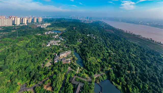 春节假期丨坐便捷公交，逛公园景区