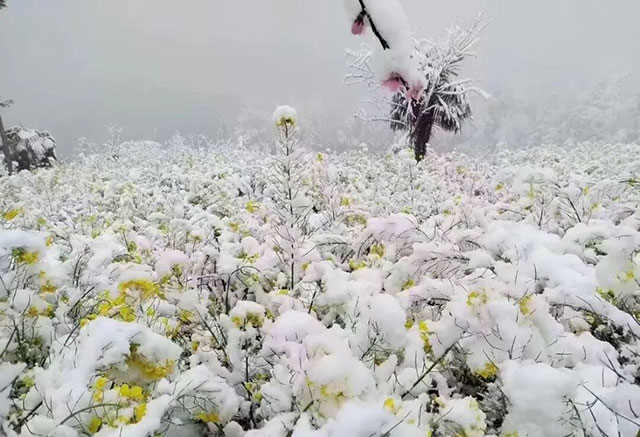 以为春捂就是穿厚？错！捂不对全身都遭罪！