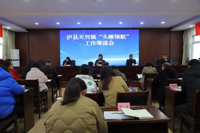 泸县天兴镇组织召开“头雁领航”工作筹谋会