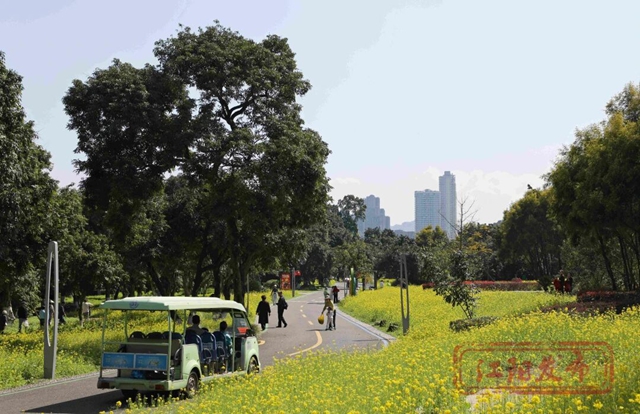 跑3.jpg