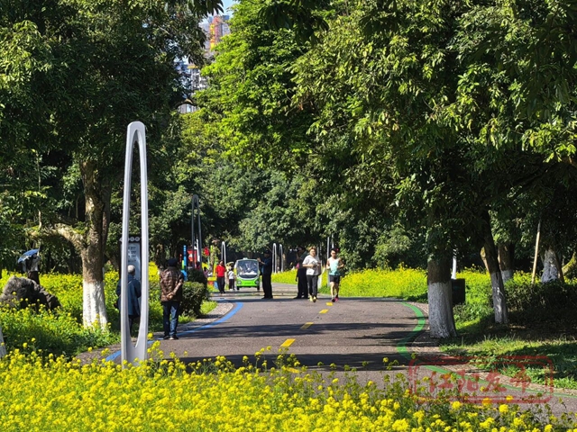 跑6.jpg