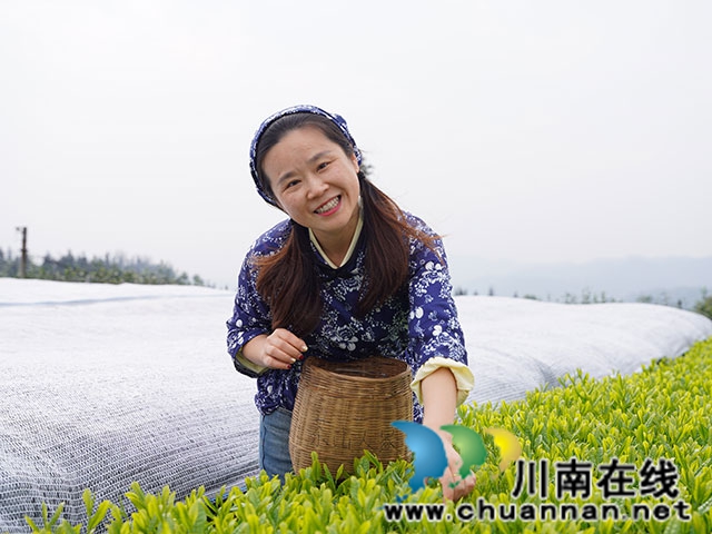 泸县建校举办第116个“三八”国际妇女节主题庆祝活动(图7) 梅岭茶山采茶1.jpg