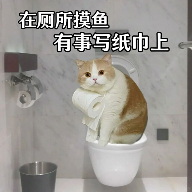 避坑！拉便便，蹲vs坐？不是选舒服的，是选不犯痔疮的