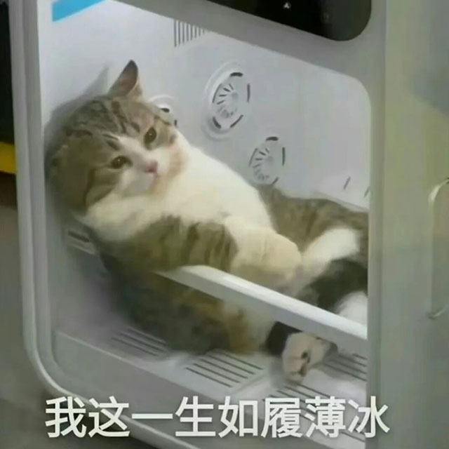 避坑!拉便便,蹲vs坐?不是选舒服的,是选不犯痔疮的(图5) 5.jpg