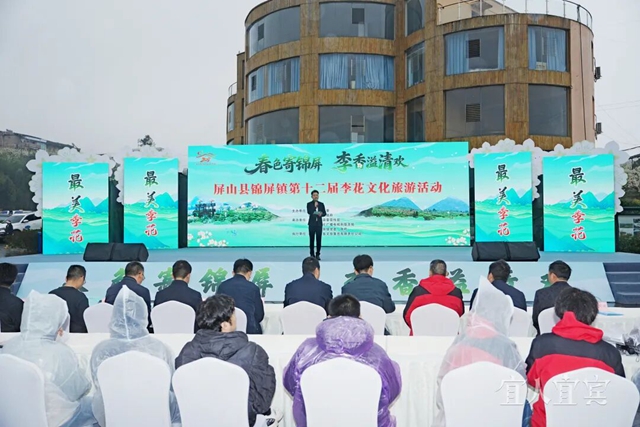 好漂亮！宜宾这里的十万亩李花盛开了