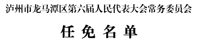 泸州市龙马潭区人大常委会通过一批人事任免