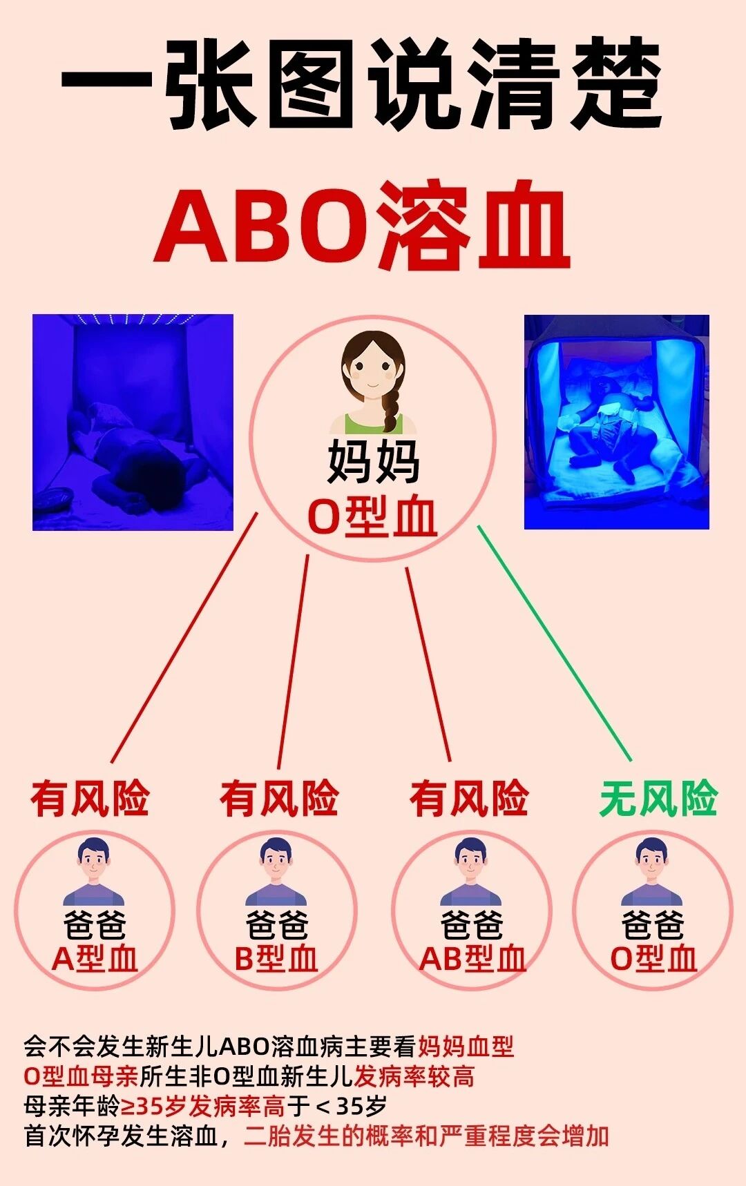 宝4.jpg