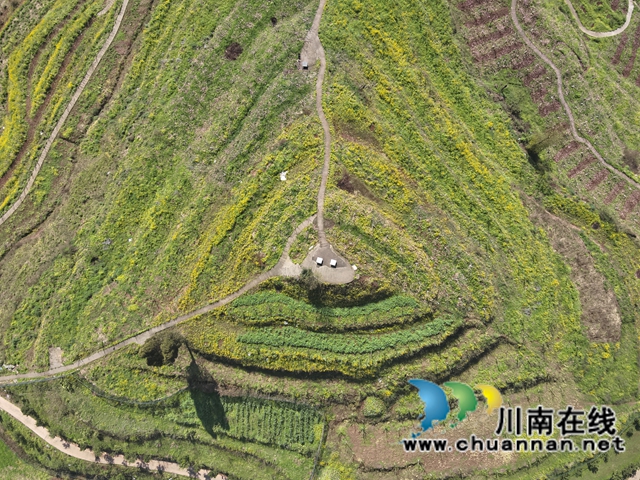 微信图片_2026-03-11_151620_442.jpg