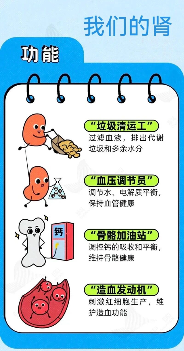 【世界肾脏日】肾好不好，看“吃喝拉撒睡”就知道