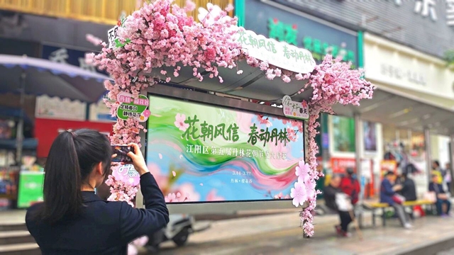 泸州人的专属浪漫！樱花主题站台上线，乘公交赴一场春日花约
