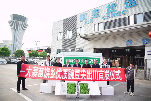 1770公里，古蔺豌豆尖9小时抢“鲜”入沪
