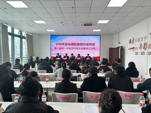 匠心织冷暖，龙马启新章┃李金龙当选龙马潭区家政行业协会首任会长