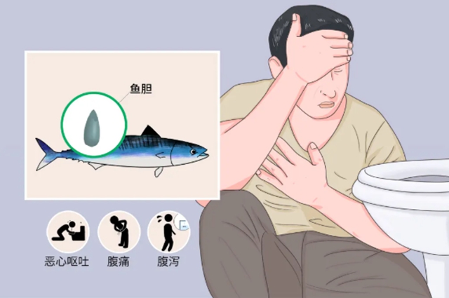4斤重的草鱼！差点吃死人！