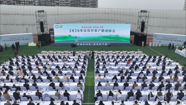 茶1.jpg