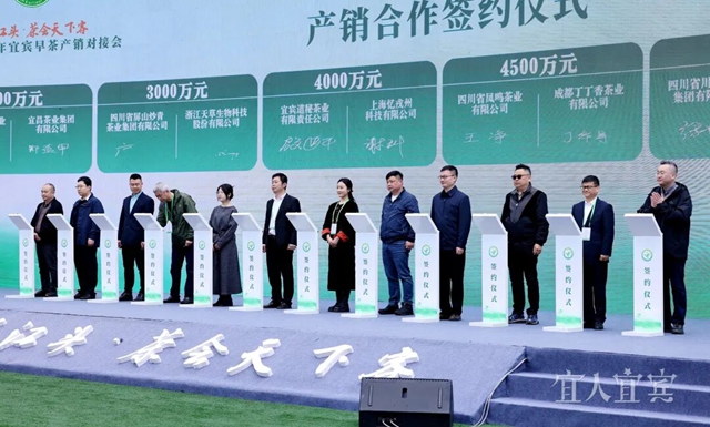 茶2.jpg