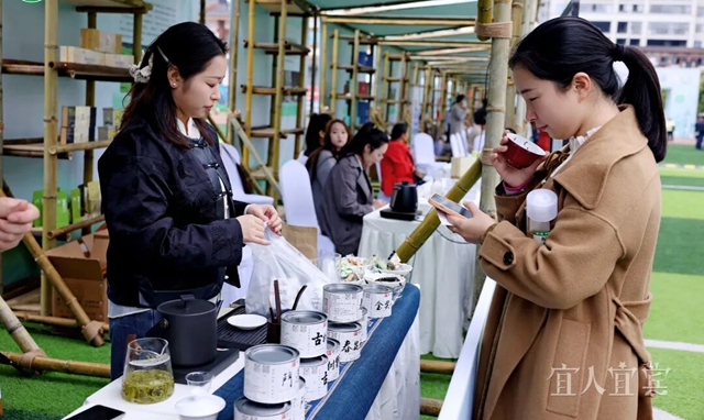 茶4.jpg