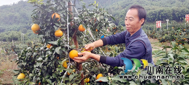 图2：村民在集体公司实现就业增收.jpg