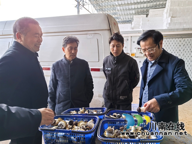 泸州市关工委科工委调研泸县关工委科工委农村青年双带工作