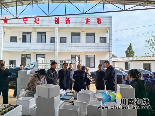 调研赤松茸1（曾佐然摄）.jpg