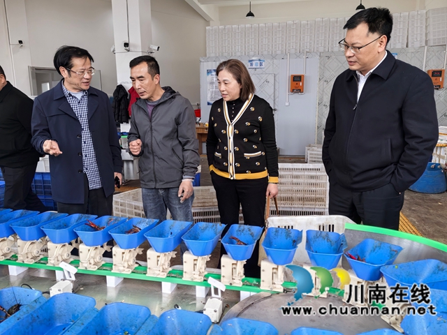 调研小龙虾分检（曾佐然摄）.jpg