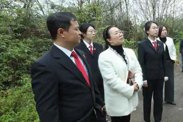 春耕不能等，代表委员来见证！龙马潭法院“谈”出土地复耕新希望