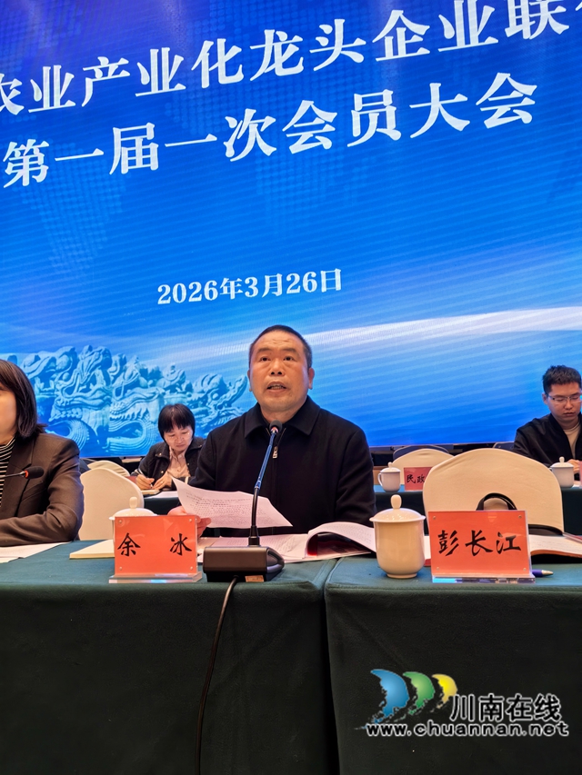 新任执行会长余冰讲话（曾佐然摄）.jpg