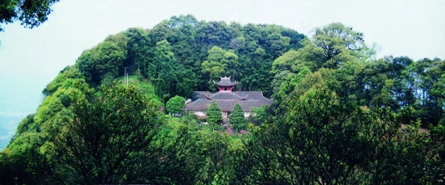 气11.jpg