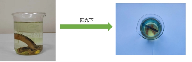 西2.jpg