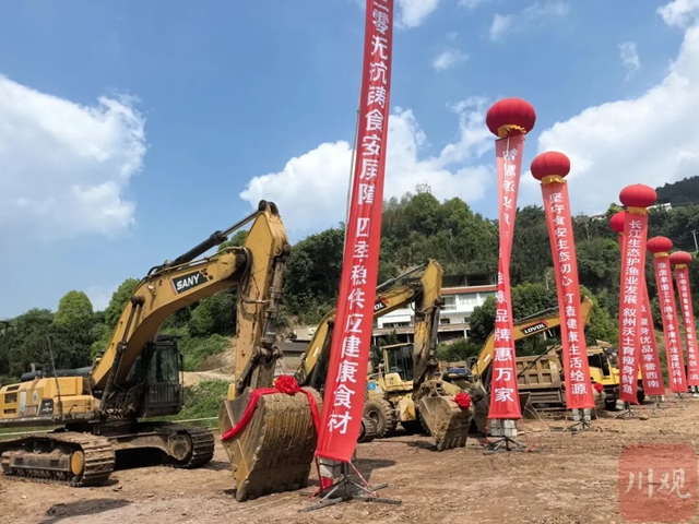 鱼3.jpg