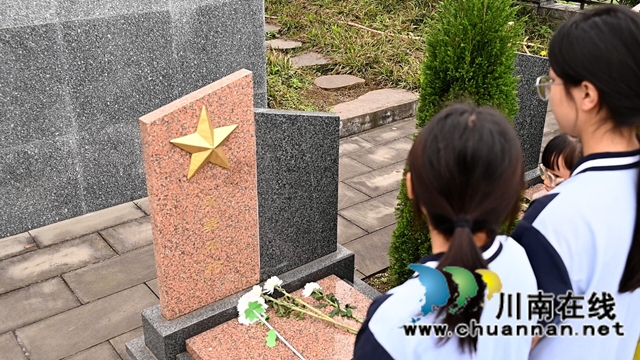 敬献菊花.jpg