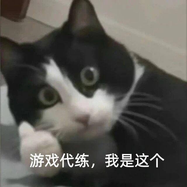 骗2.jpg