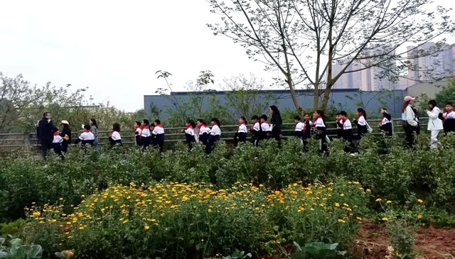 清明祭英烈 医校共传承｜泸州福欣医院为泸县实验学校清明祭英烈活动提供医疗保障