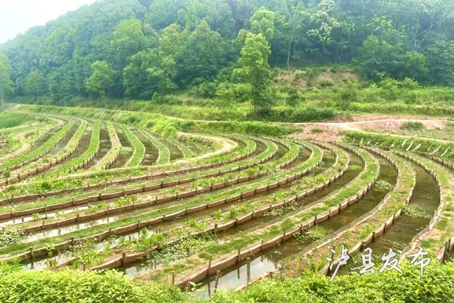 河4.jpg