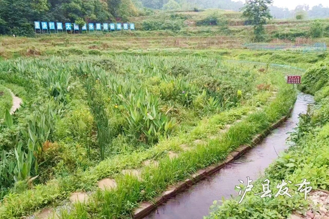 河6.jpg