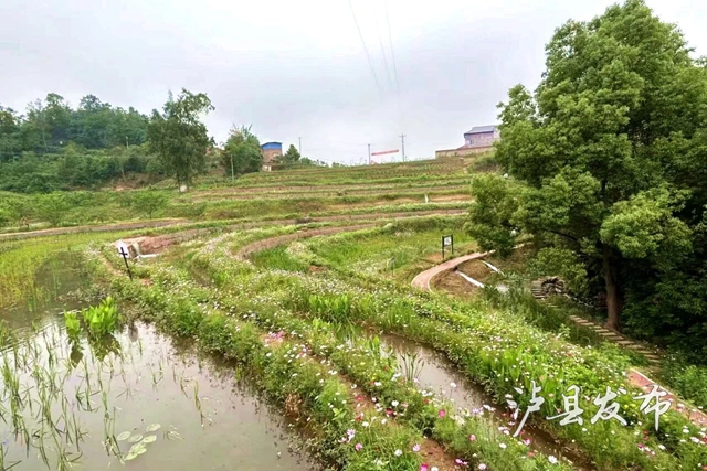 河5.jpg